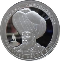 20 Lira reverse