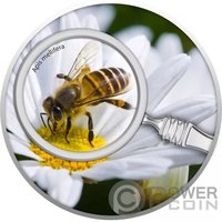 500 Francs CFA reverse