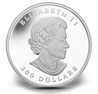 300 Dollars obverse