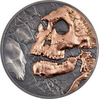 500 Tögrög reverse