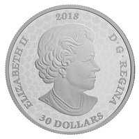 30 Dollars obverse