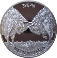 20 Rubles reverse