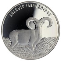 20 Lira reverse