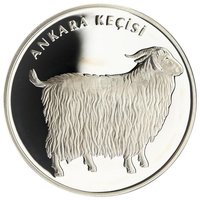 20 Lira reverse