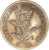 10 Lipa reverse