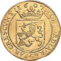 1 Gold Rider reverse